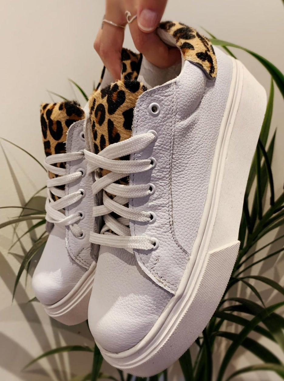 Arizona Leopardo